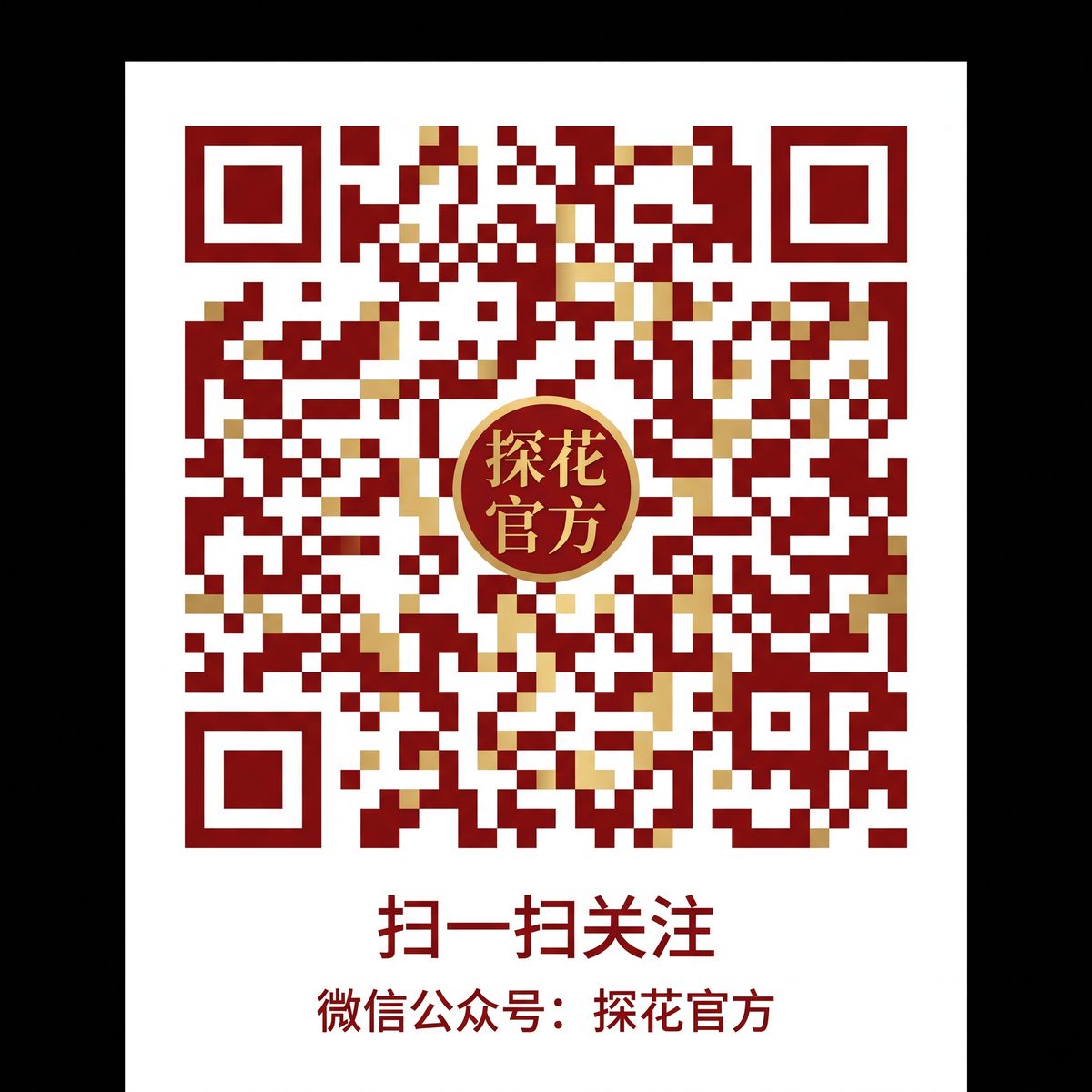 麻豆视频公众号